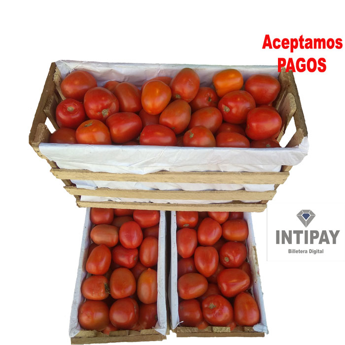 Tomate de Primera 1 Caja