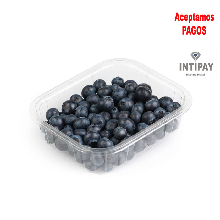 Arandano 500g