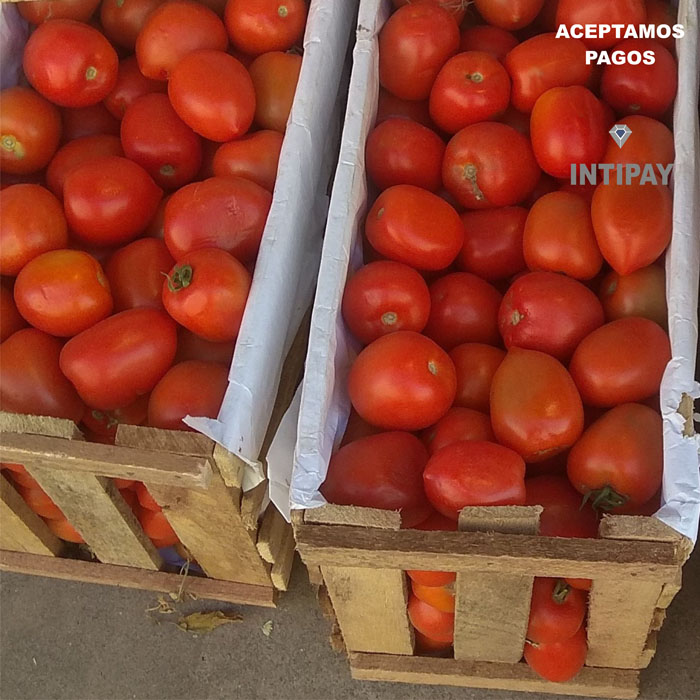 Tomate de Segunda x 1 Caja